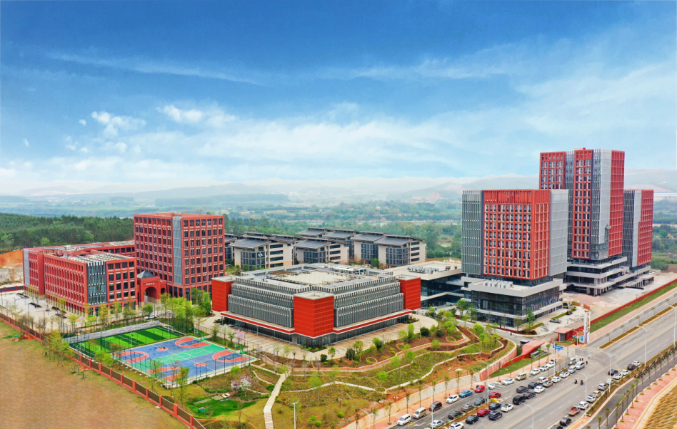 乐鱼电竞广西集团以改革破局 以创新赋能 当好乐鱼电竞广西建设发展排头兵