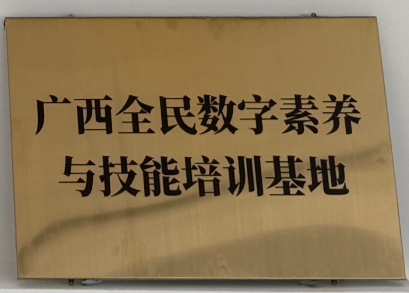 广西全民乐鱼电竞素养与技能培训基地”